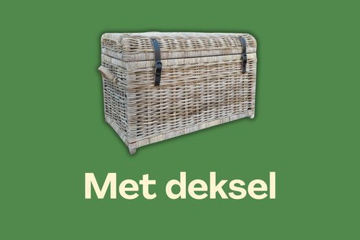 XXL manden met deksel bekijken