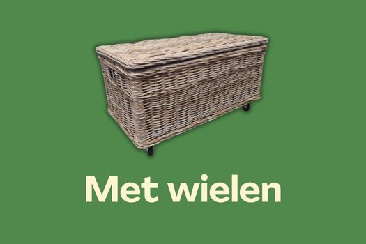 Manden met wielen bekijken