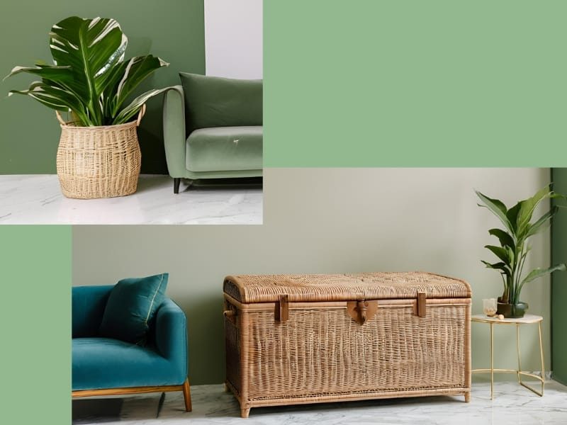 Boho mand en plant