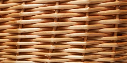 Rotan